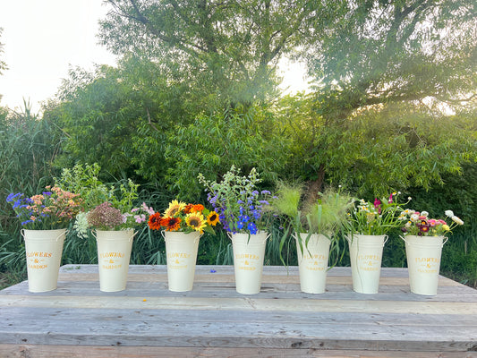 Bucket of Blooms